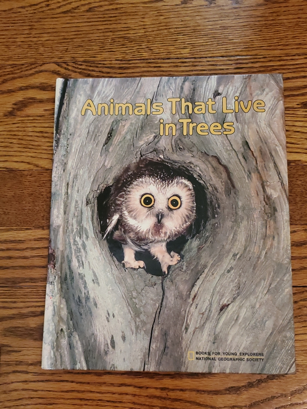 Vtg 1986 - Animals that Live in the Trees - National Geographic Hardcover Book